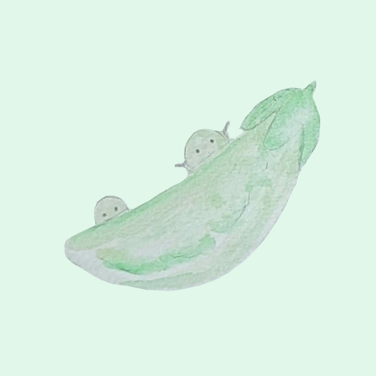 さやえんどうのイラスト