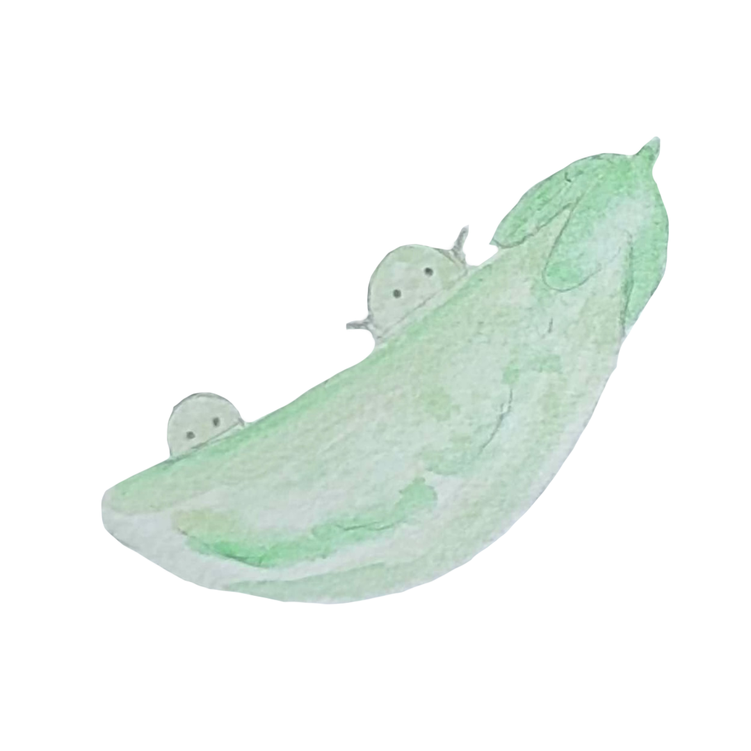 さやえんどうのイラスト