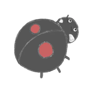 二つ星のてんとう虫