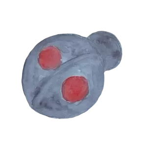 ２つ星のてんとう虫