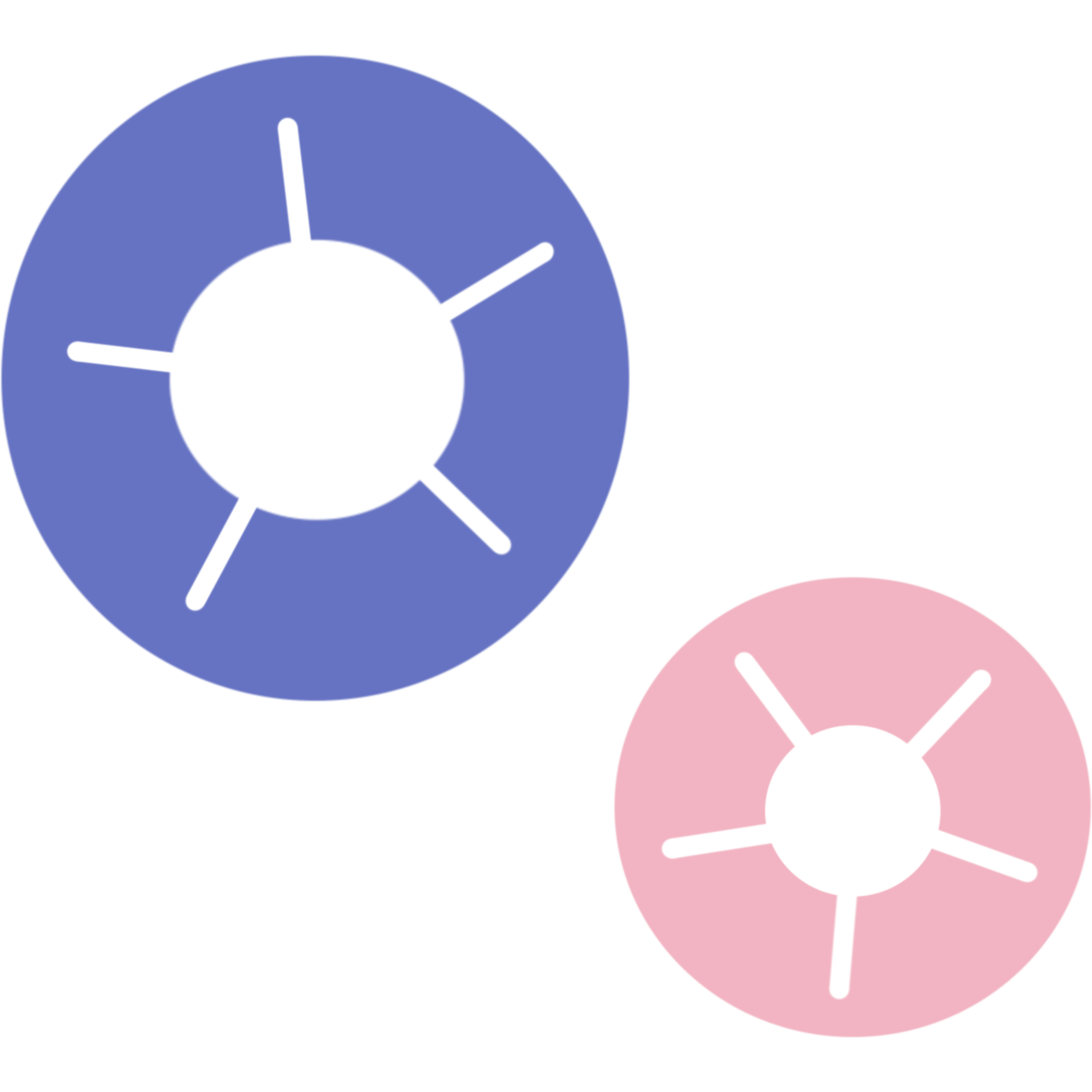 青とピンクの朝顔のイラスト