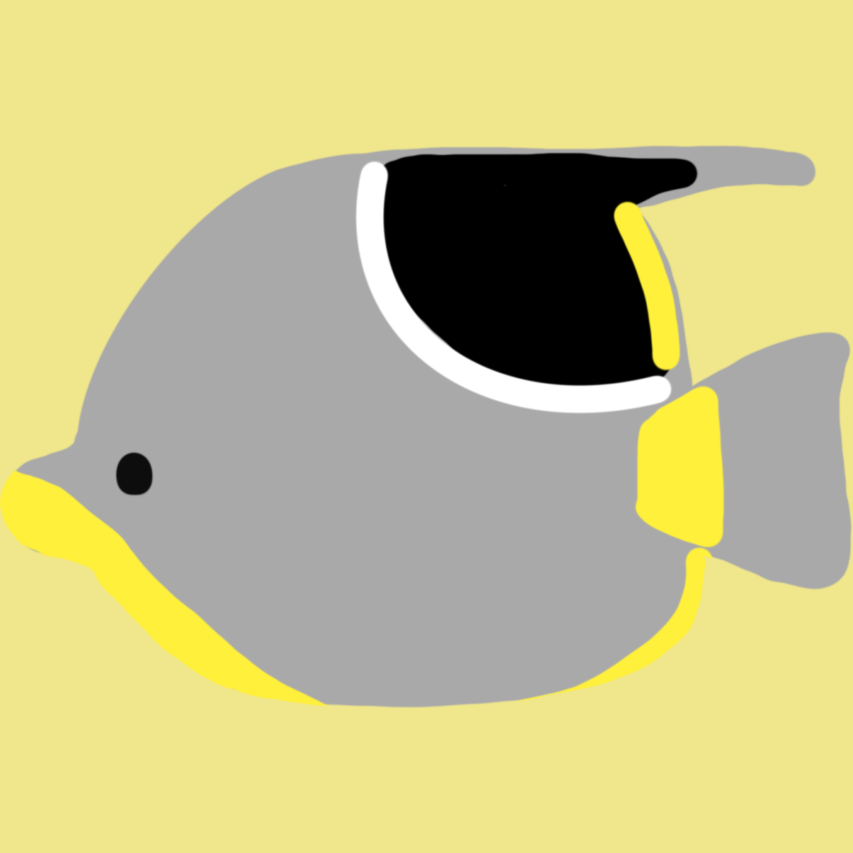 チョウチョウウオ