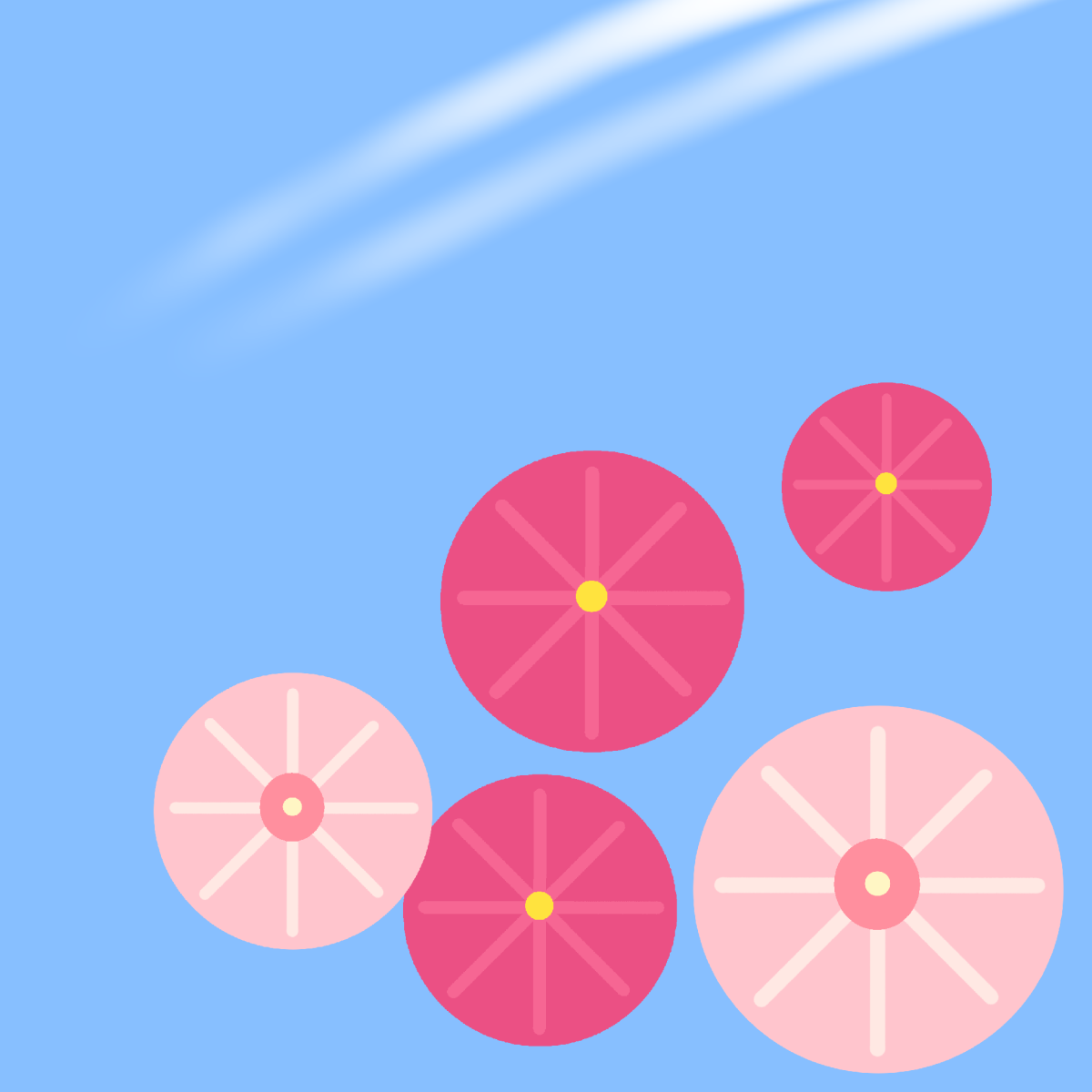 飛行機雲と秋桜