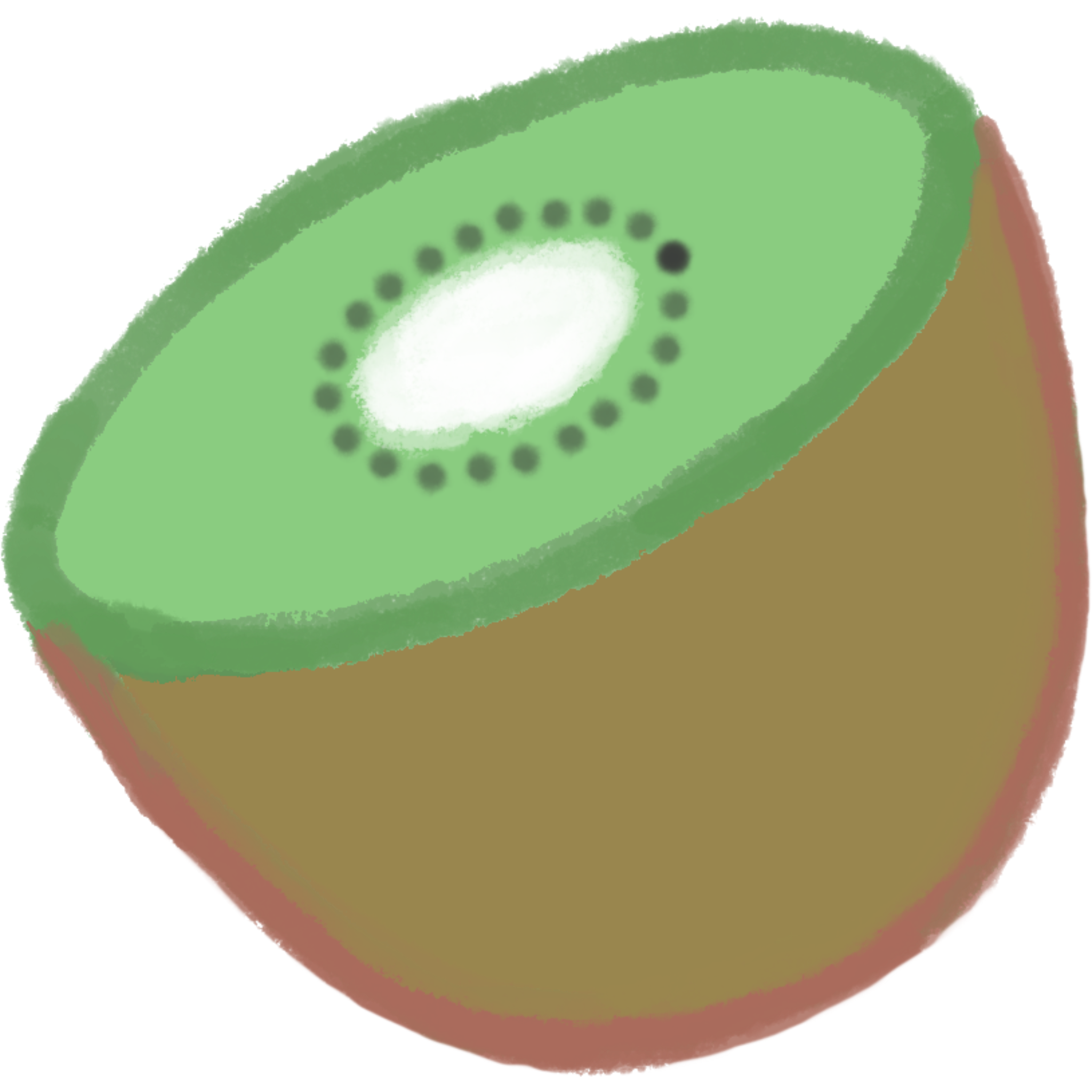 キウイフルーツの断面のイラスト