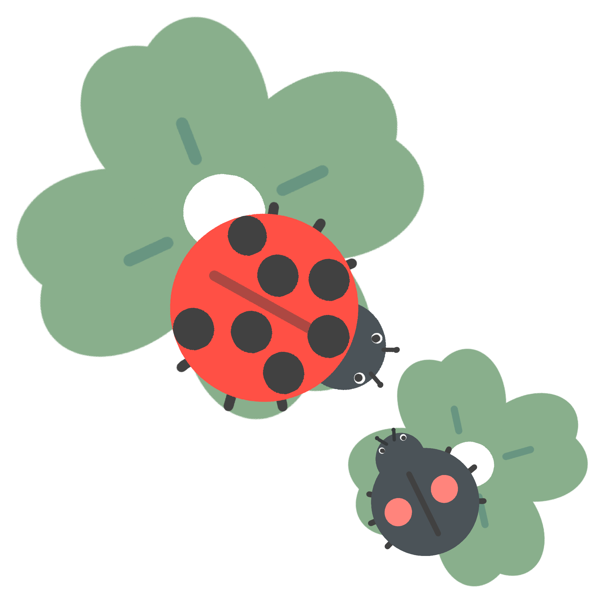 てんとう虫とクローバーのイラスト