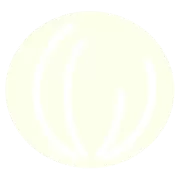 皮を剥いたたまねぎ