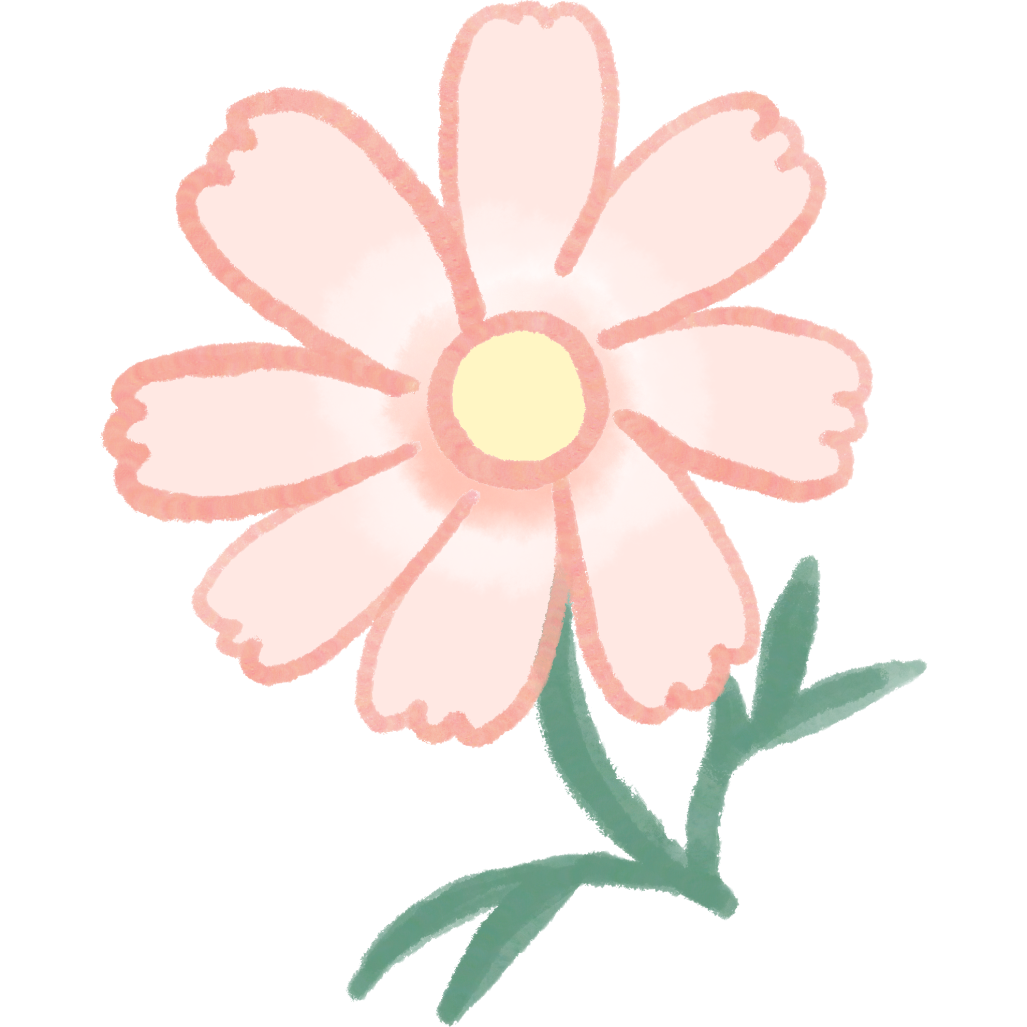 ピンクのコスモスのイラスト