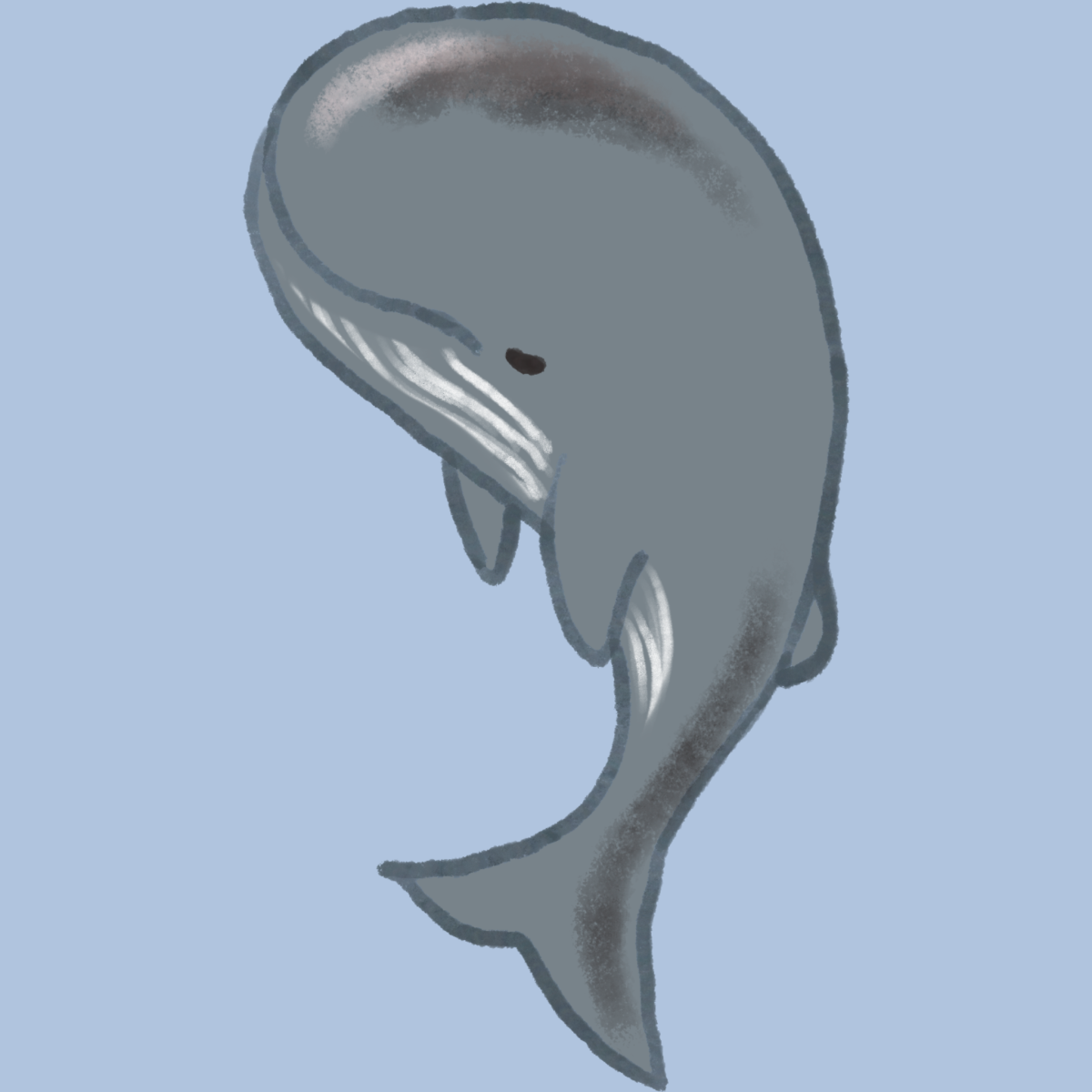 静かなクジラ