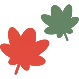 赤と緑の紅葉紅葉