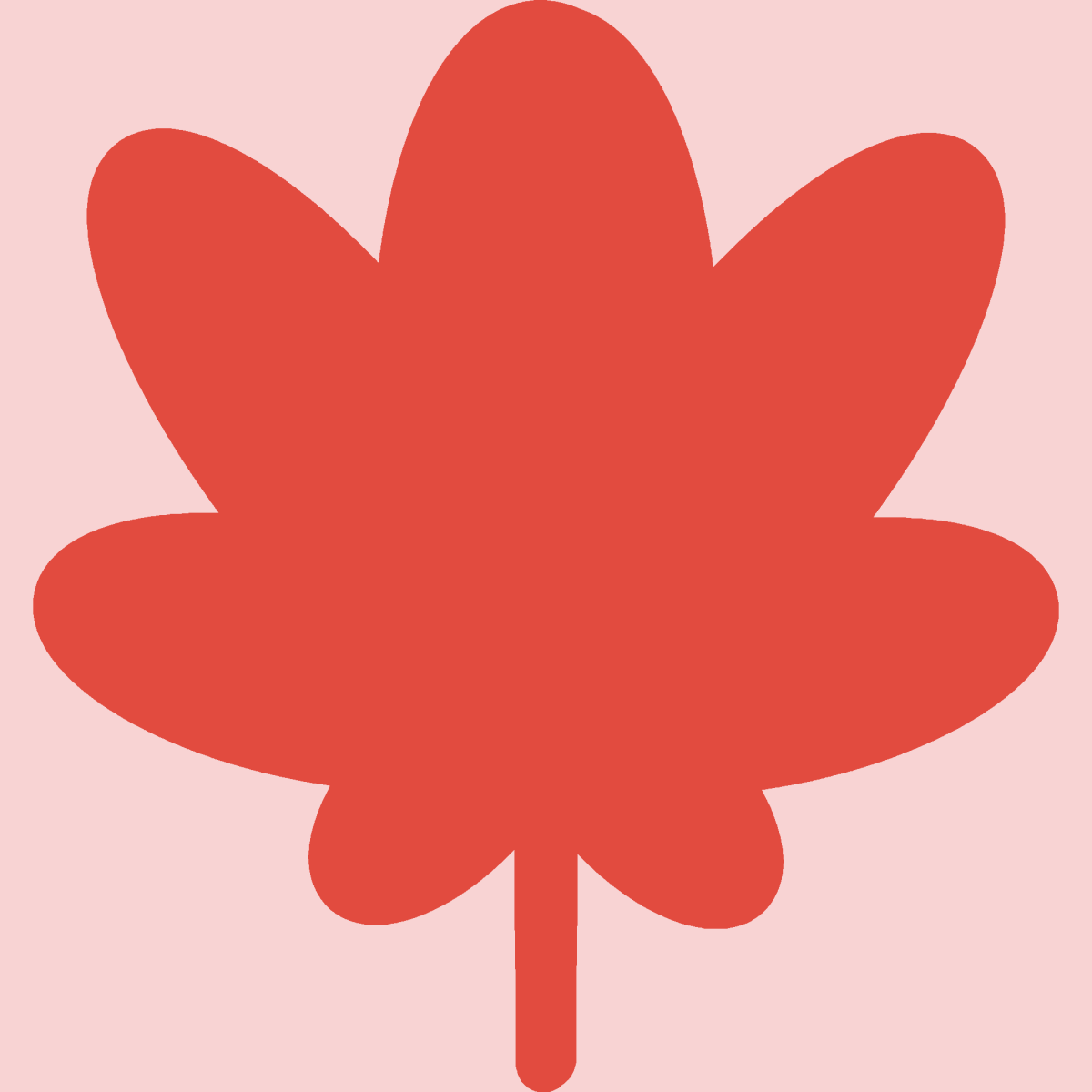 赤い紅葉