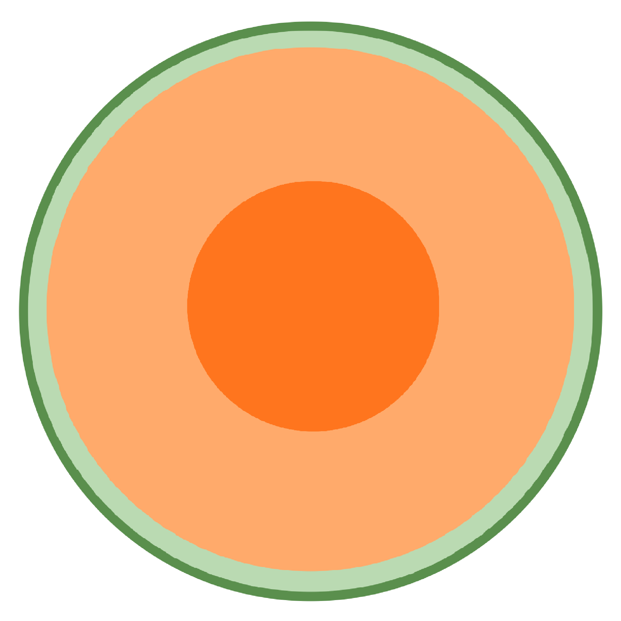 シンプルなオレンジ色のメロンの断面のイラスト