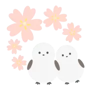 寄り添うシマエナガと桜