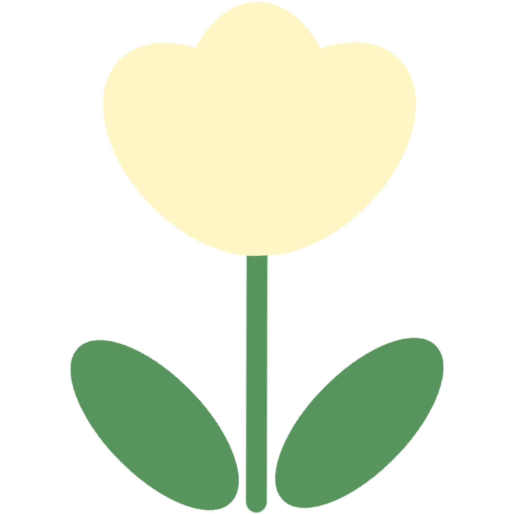 白色のチューリップのイラスト