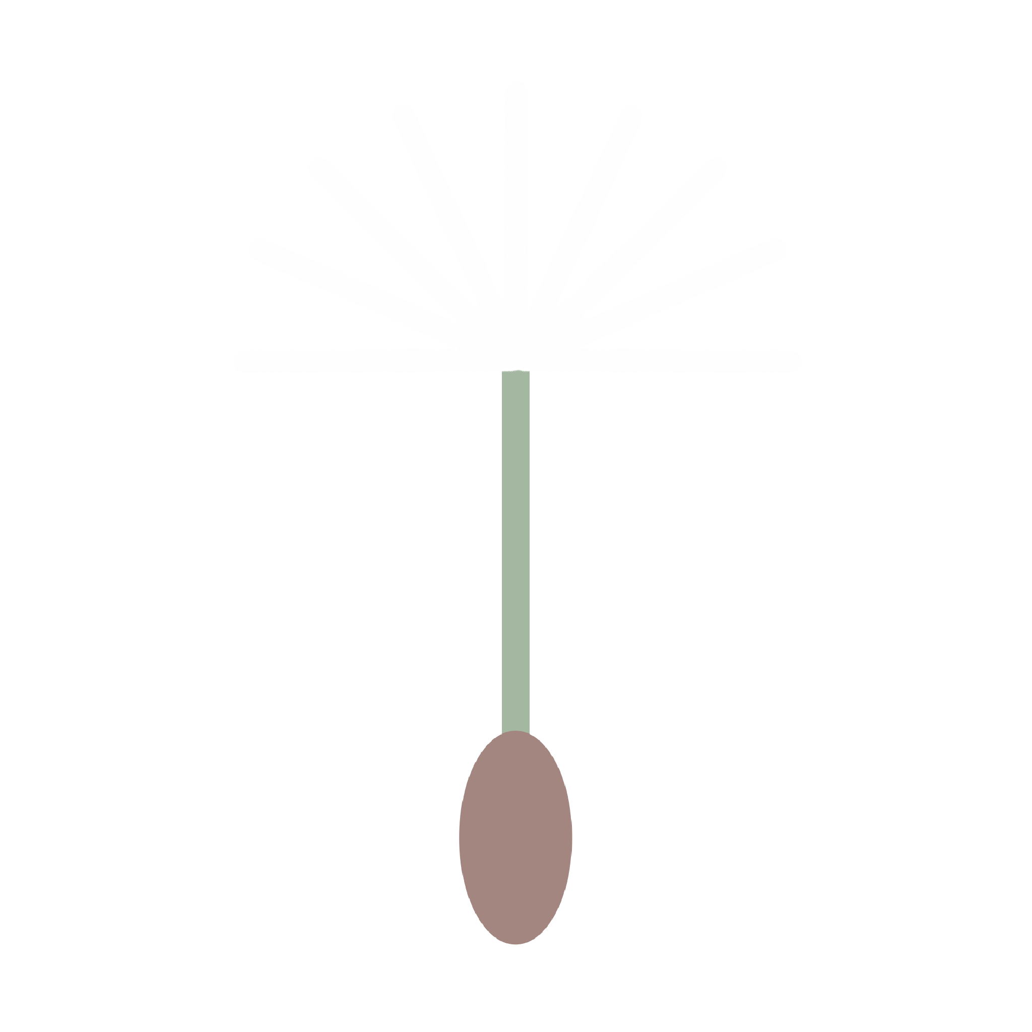 たんぽぽの種のイラスト
