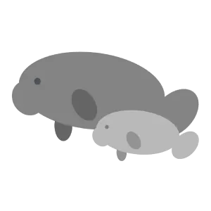 マナティーの親子