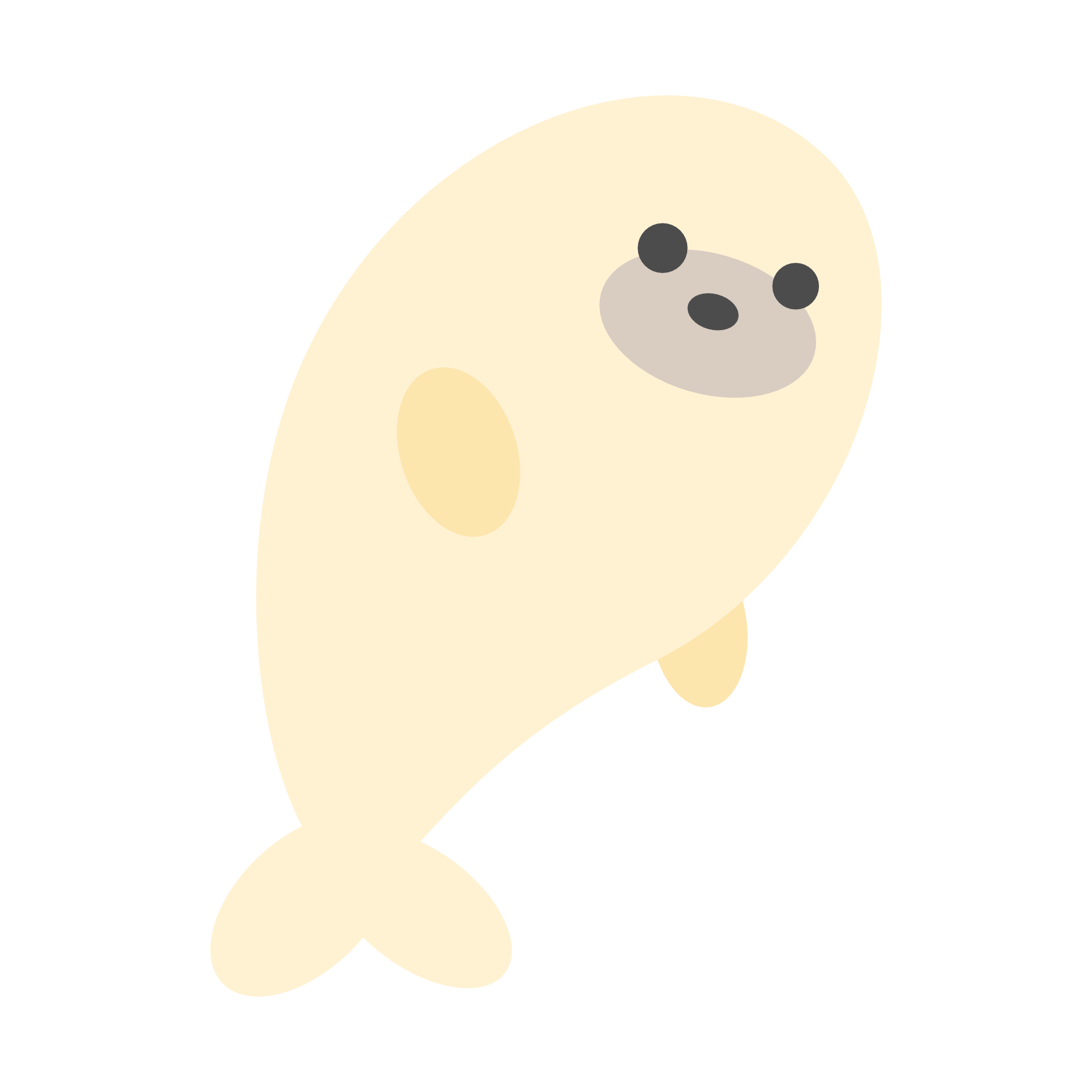 あざらしの赤ちゃん