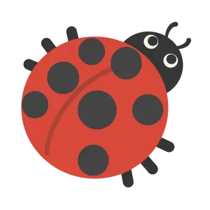 7つ星のてんとう虫