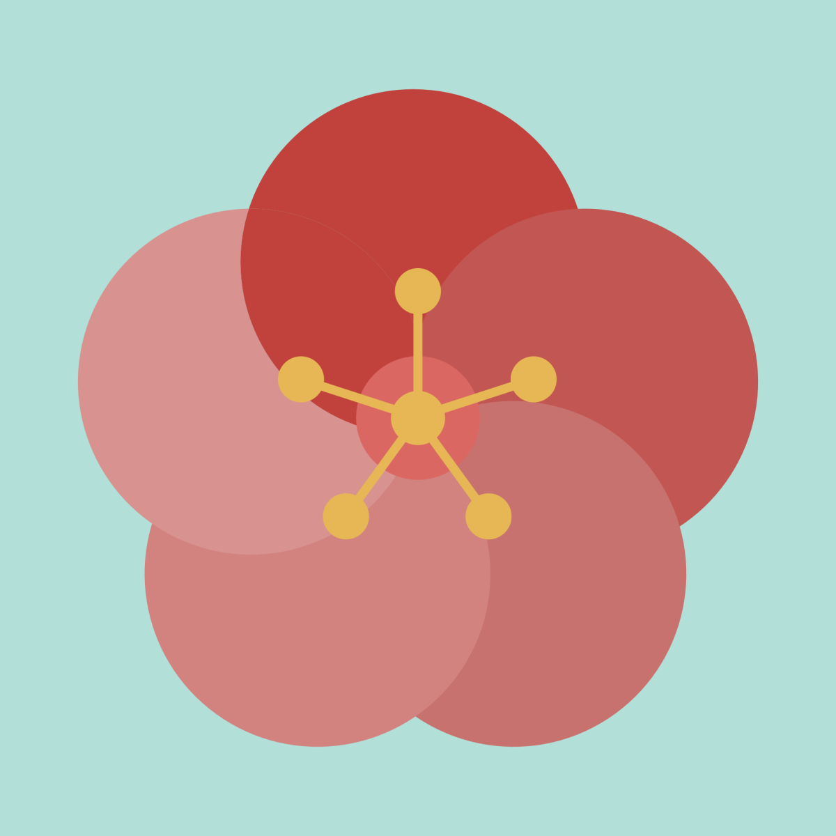 花びらの色が複数ある梅の花