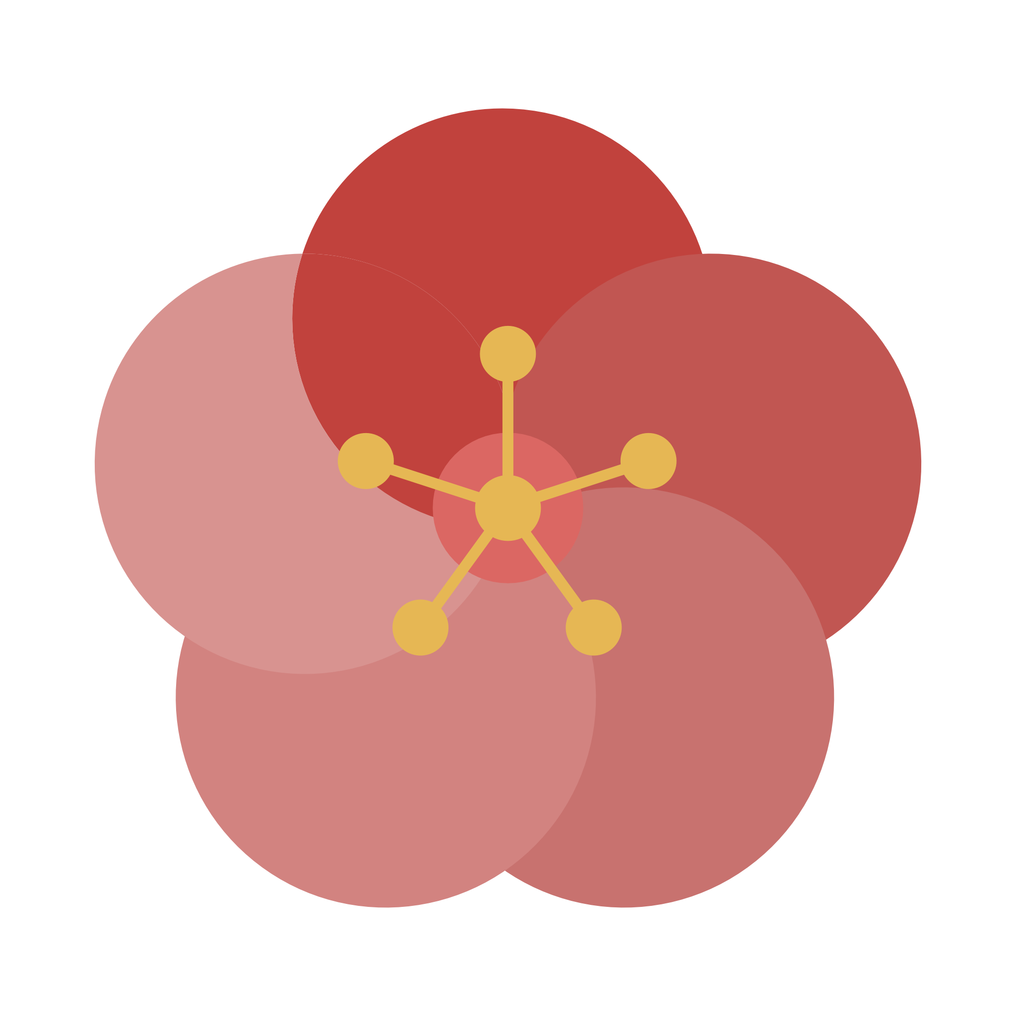 花びらの色が複数ある梅の花のイラスト