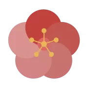 花びらの色が複数ある梅の花