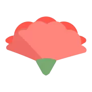 カーネーションの花の部分