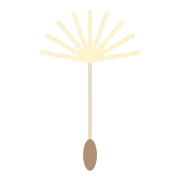 たんぽぽの綿毛