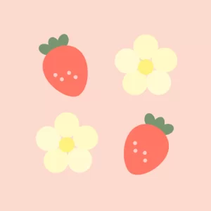 いちごの贈り物
