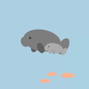 マナティの親子