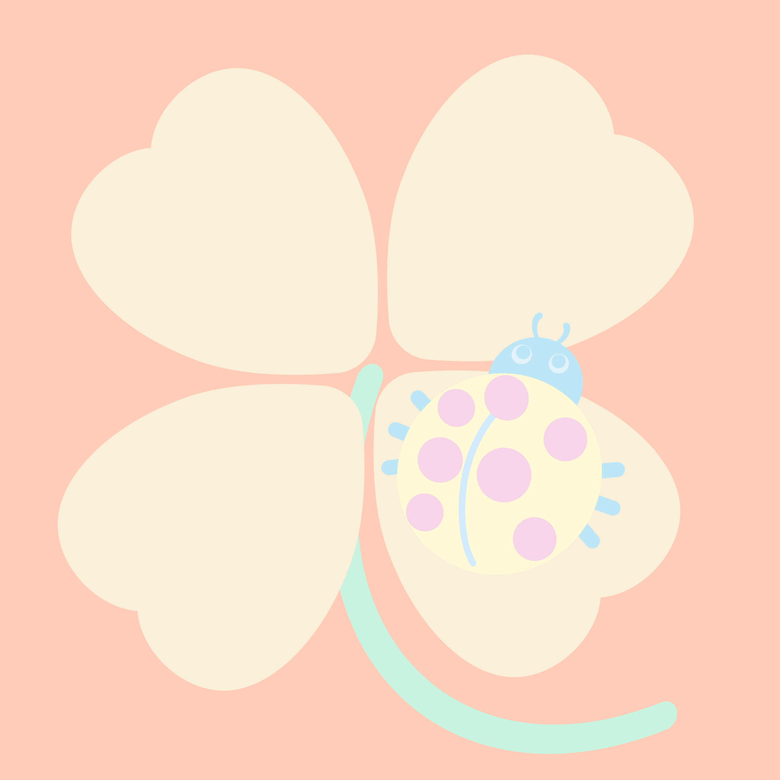 てんとう虫とクローバー