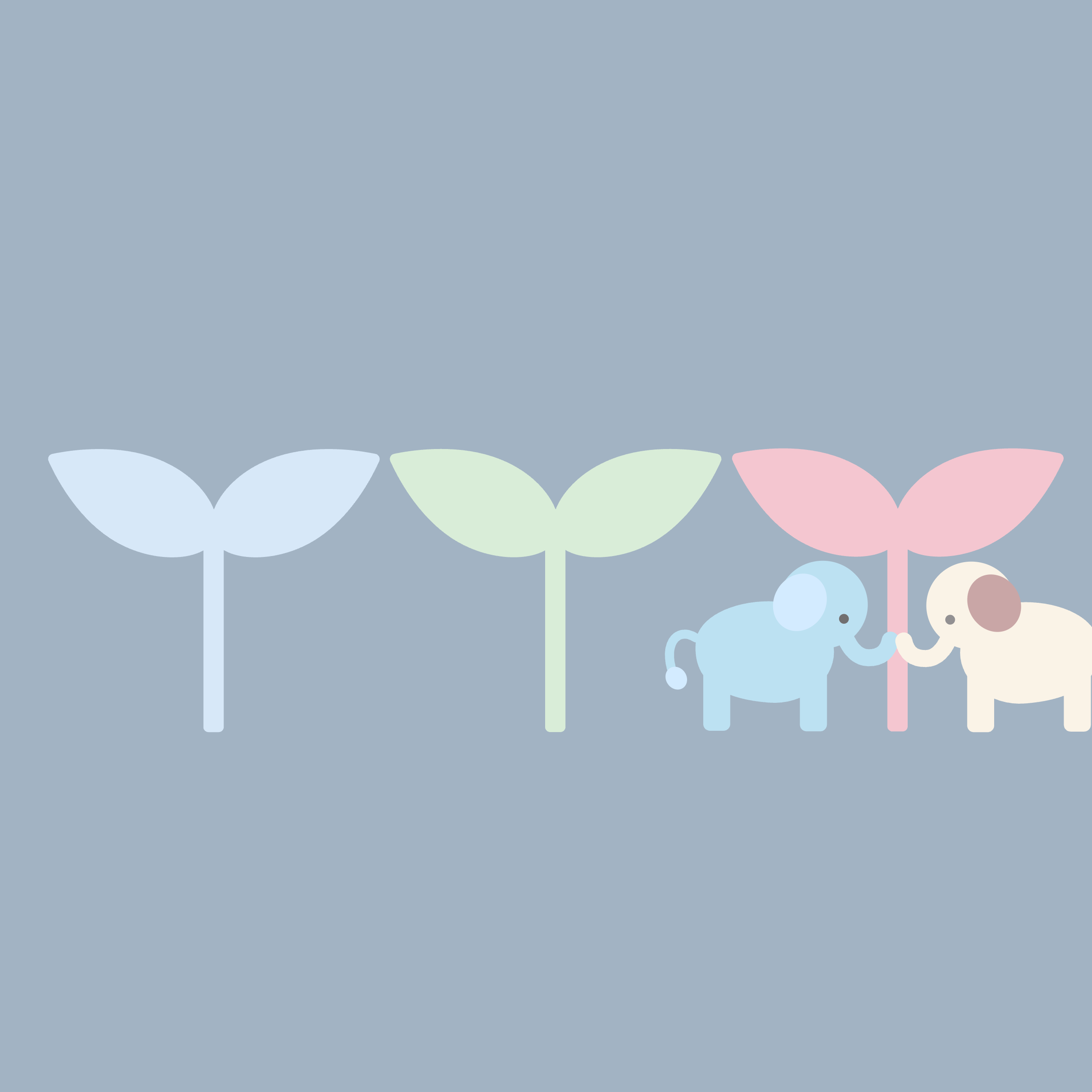 双葉の下でこんにちは