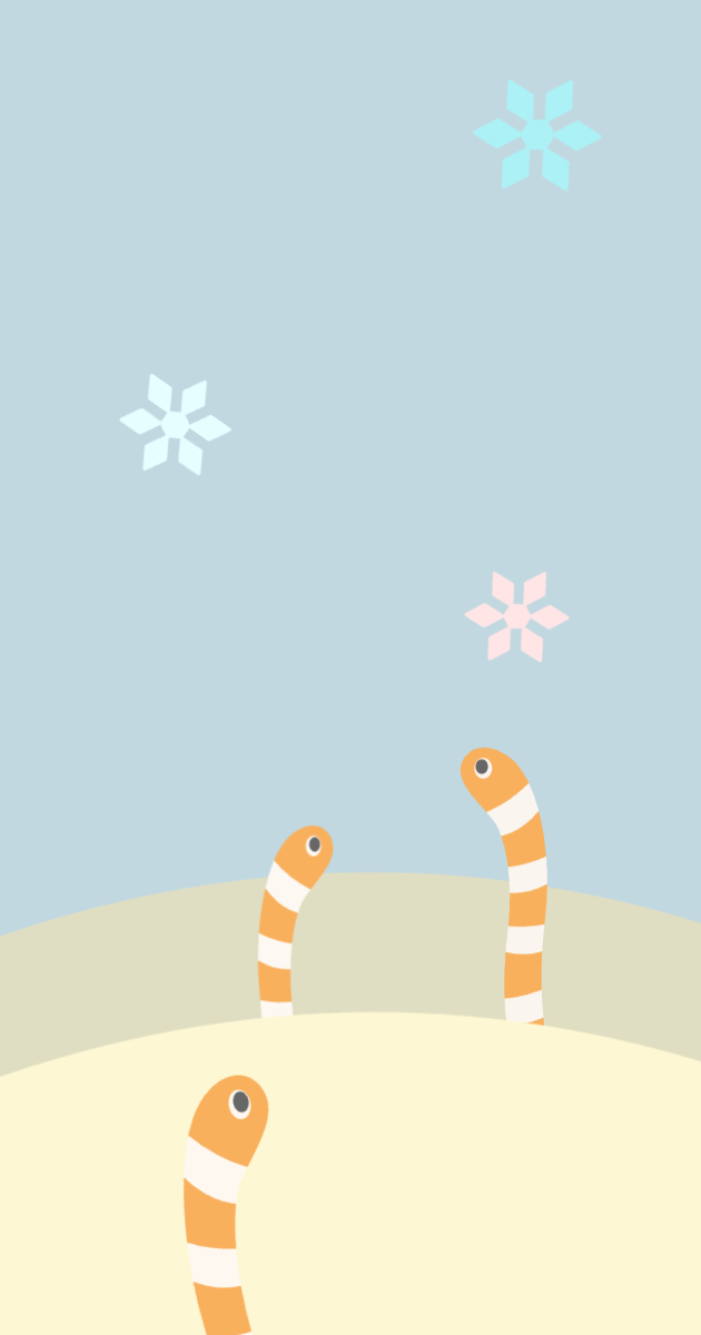 雪の丘のチンアナゴ