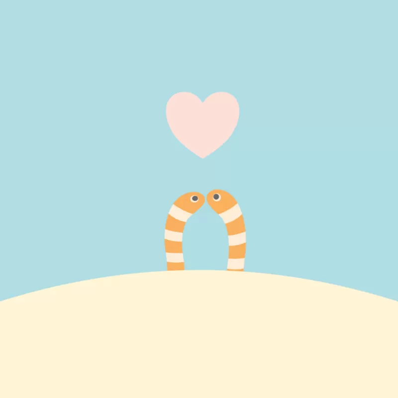 愛の丘のハート