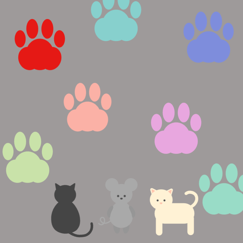 ふわふわの足跡たち