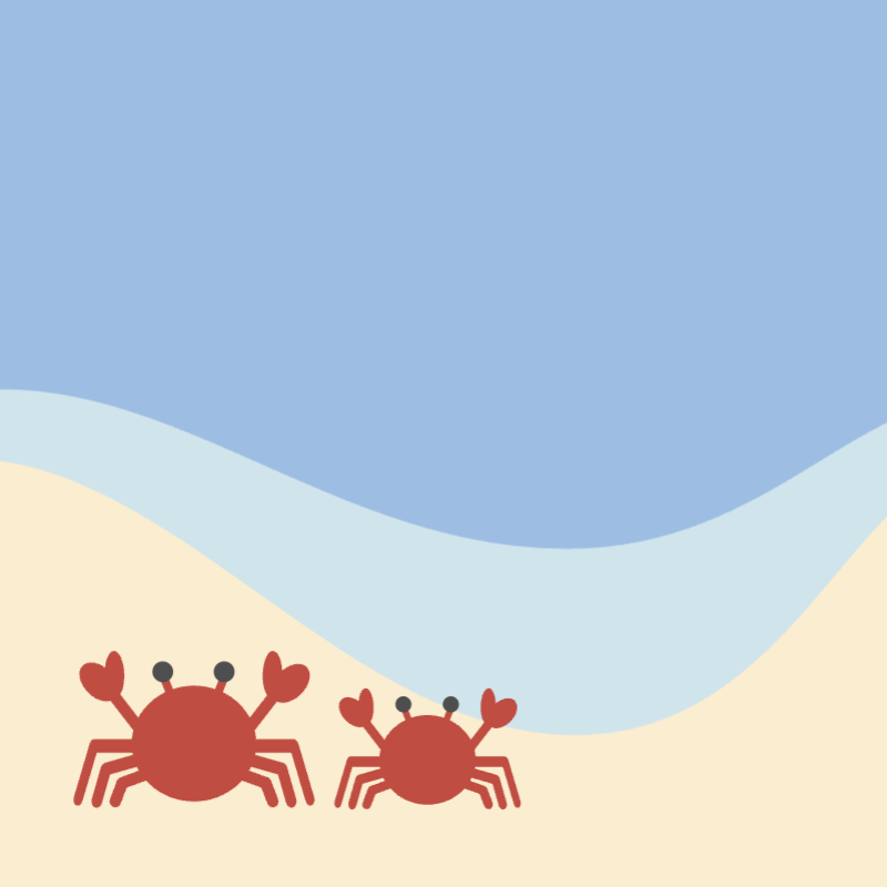 海辺のカニたち