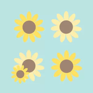 ひまわりの温もり