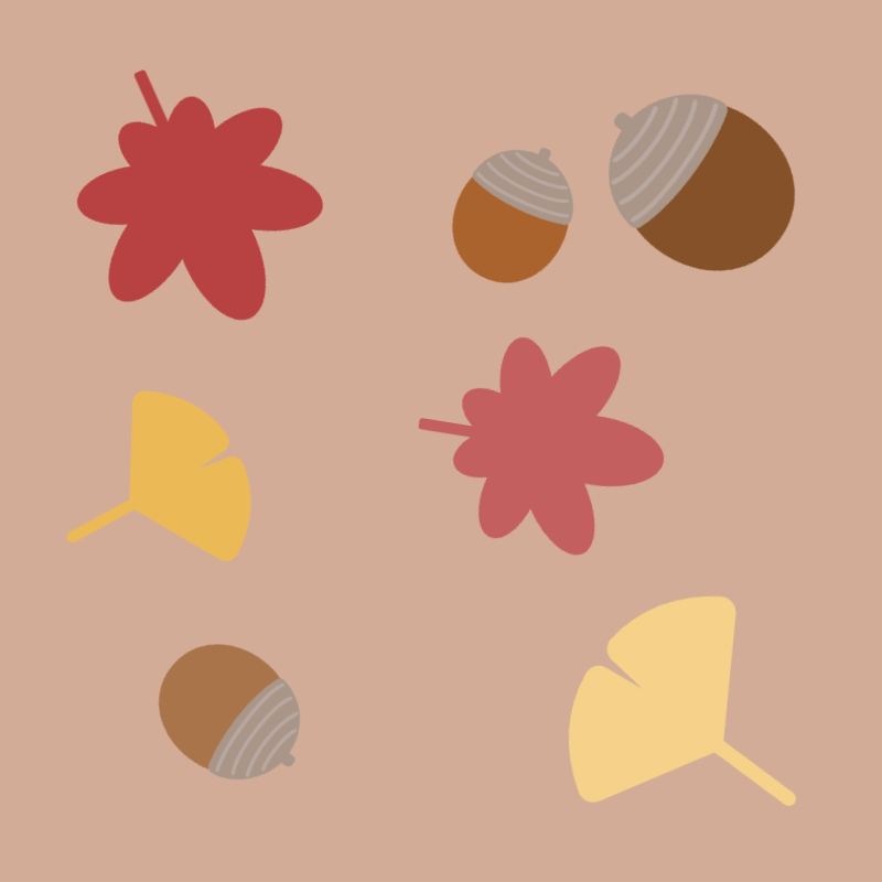 秋の彩りのハーモニー