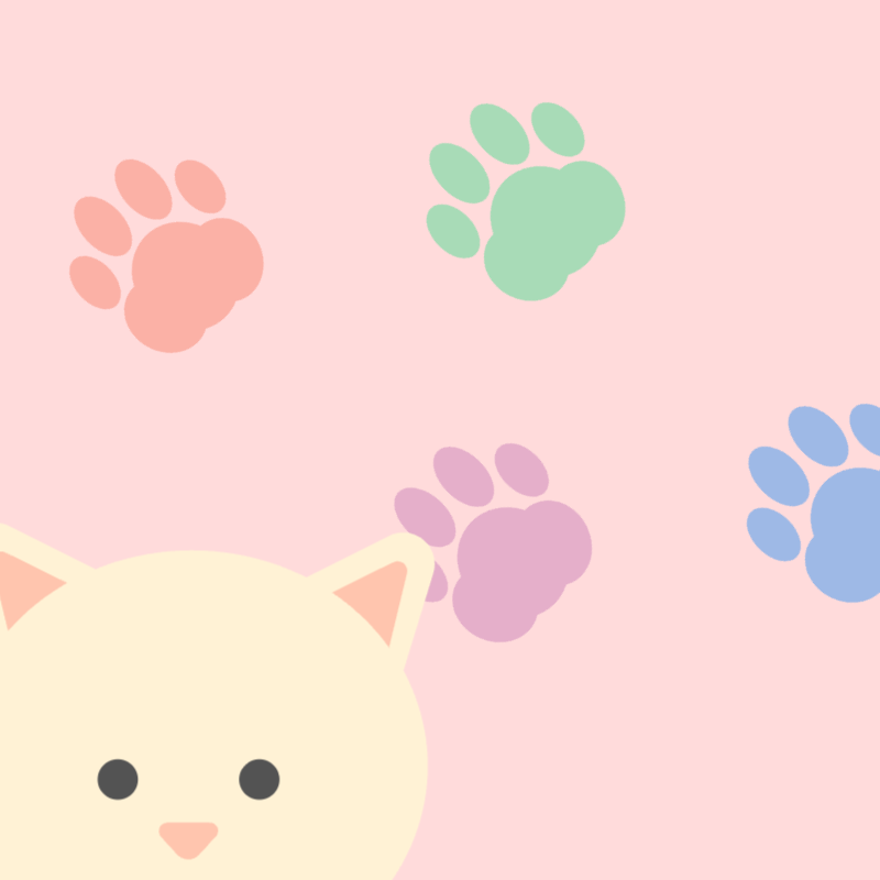 ふんわり猫の肉球