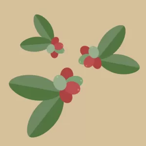 コーヒーの小さな宝石