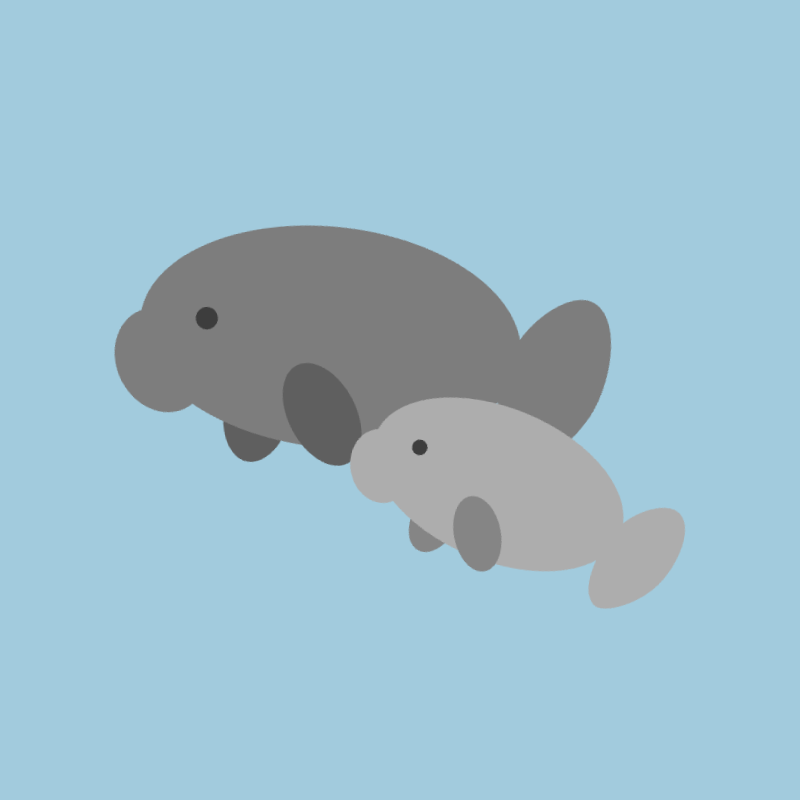 ほっとするマナティー