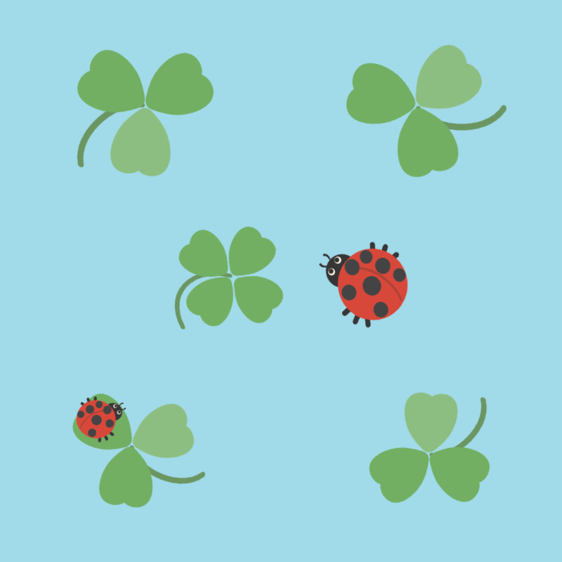 幸運のミニマリズム