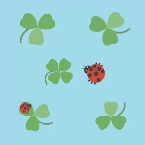 幸運のミニマリズム