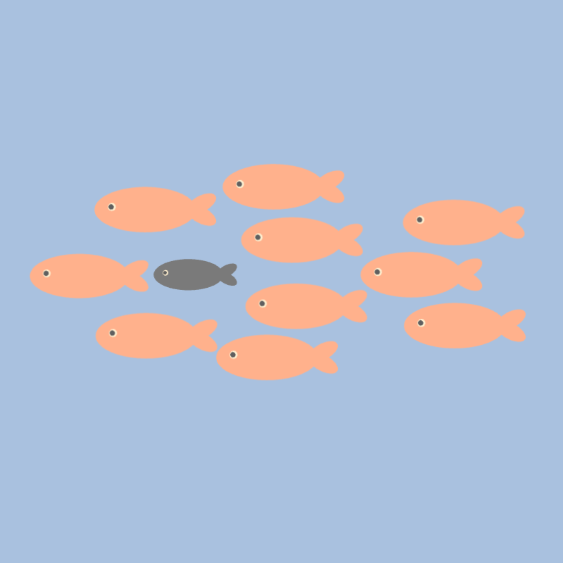仲間はずれの小魚たち