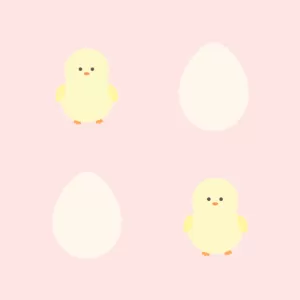 ひよこのほっこりタイム