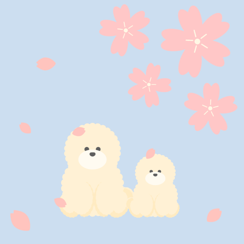 桜舞うふわふわの友