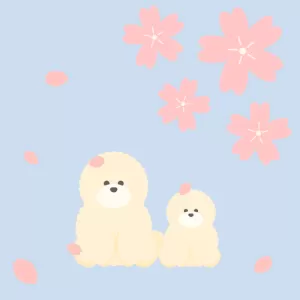 桜舞うふわふわの友