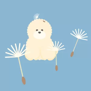 ふわふわ犬とタンポポ